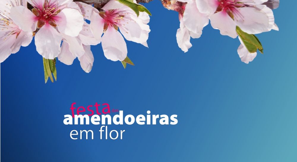Amendoeiras em flor